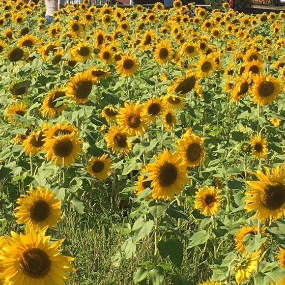 Meet your Posher, Michelle - Picture 1 of 1